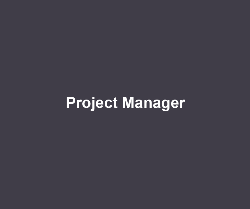 Project Manager