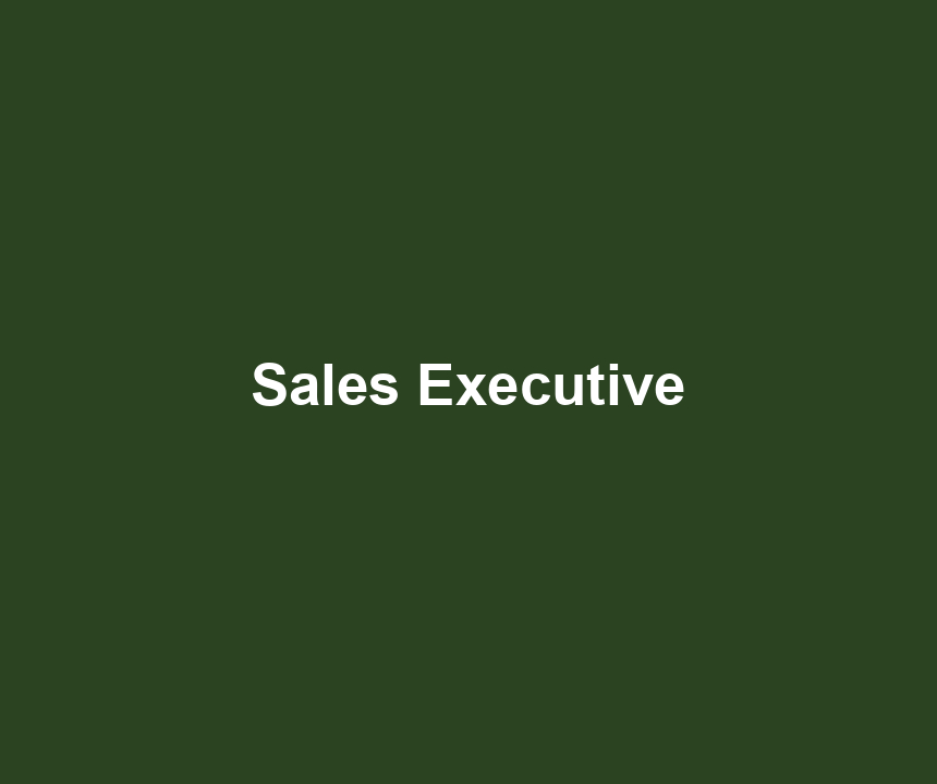 Sales Executive
