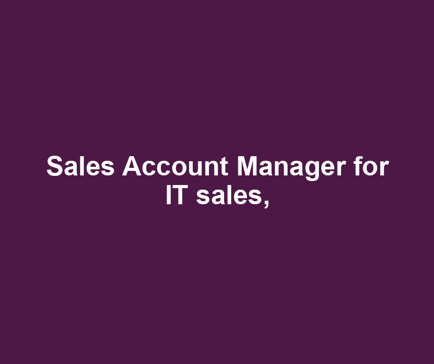 Sales Account Manager for IT sales,