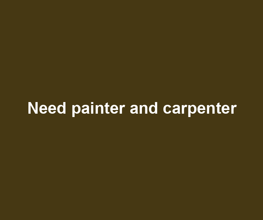 Need painter and carpenter