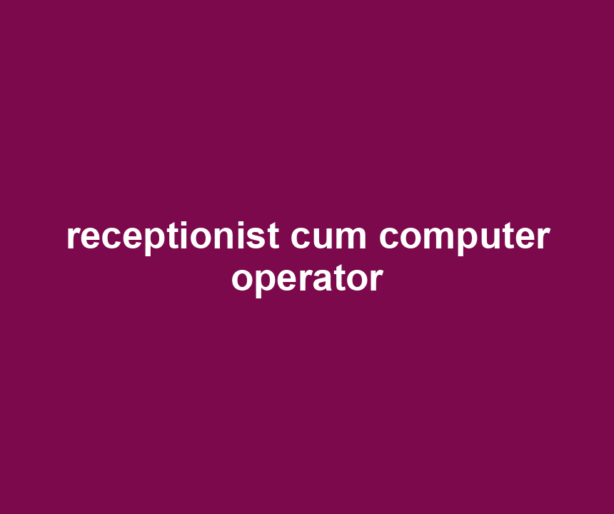 receptionist cum computer operator