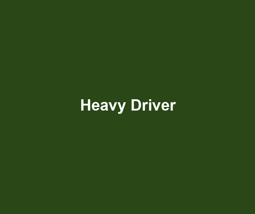 Heavy Driver