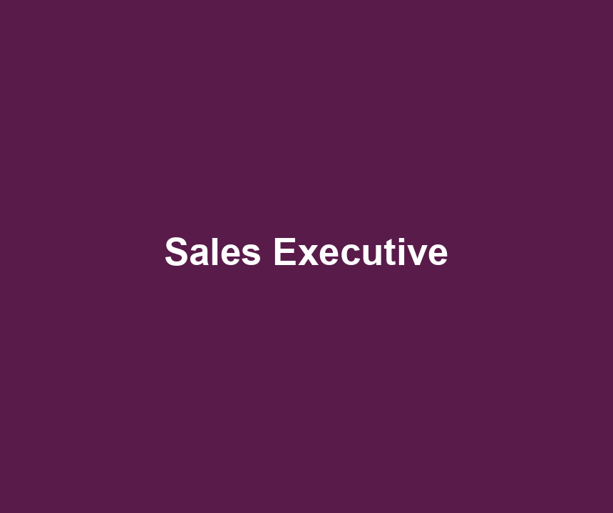 Sales Executive