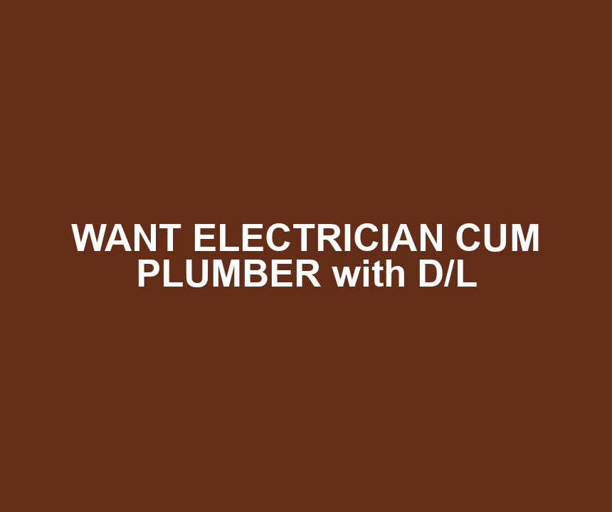 WANT ELECTRICIAN CUM PLUMBER with D/L