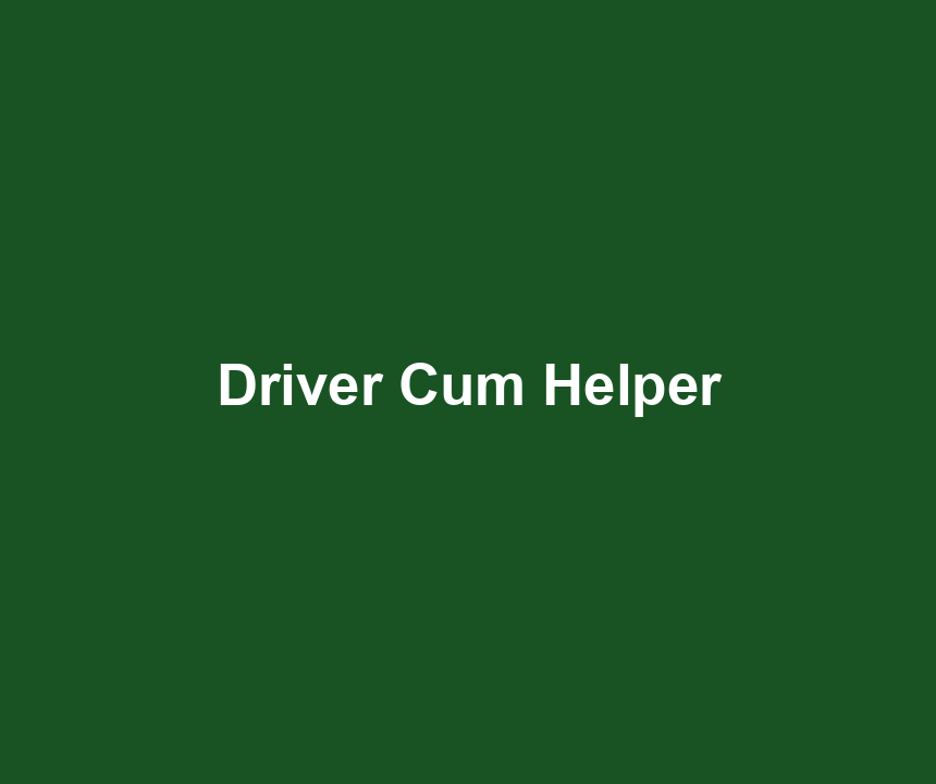 Driver Cum Helper