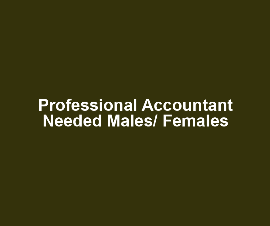 Professional Accountant Needed Males/ Females