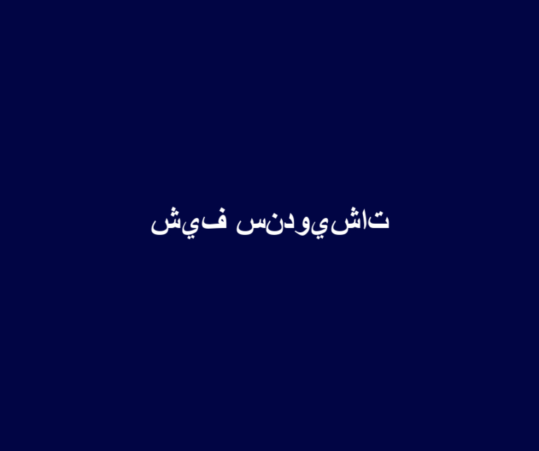 شيف سندويشات