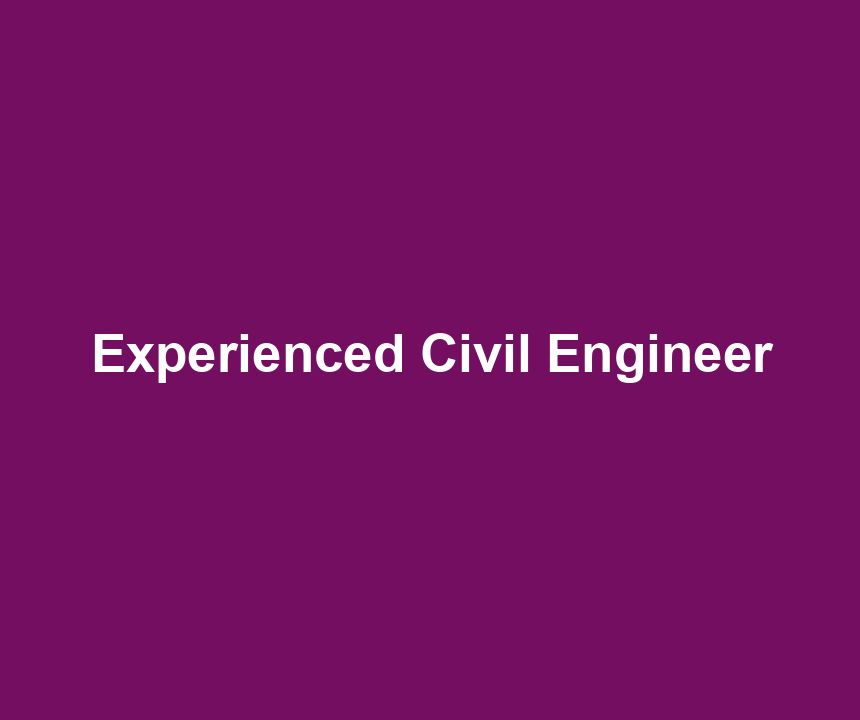 Experienced Civil Engineer