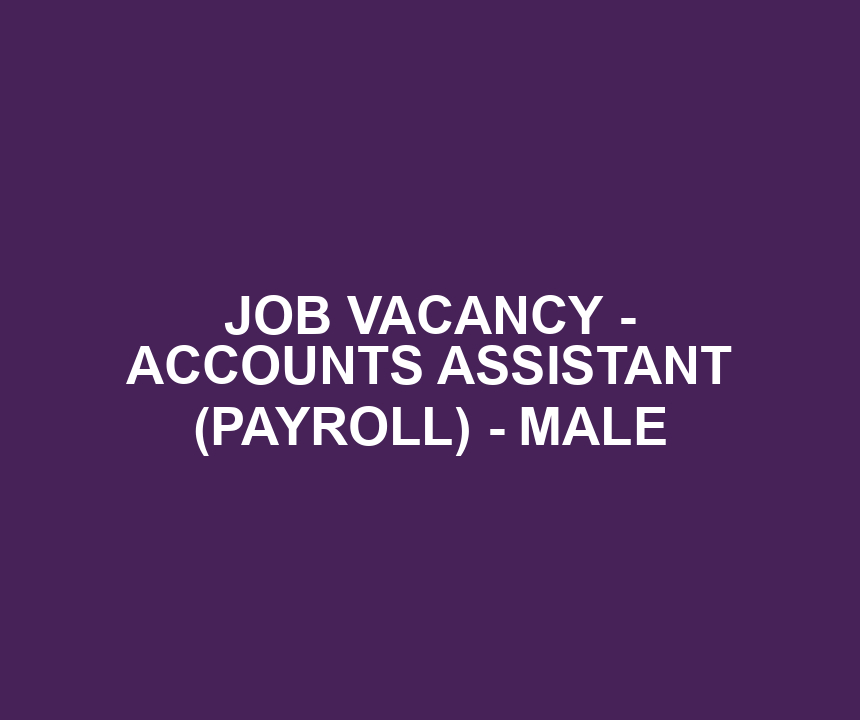 JOB VACANCY - ACCOUNTS ASSISTANT (PAYROLL) - MALE