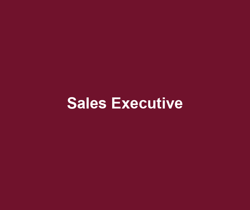 Sales Executive