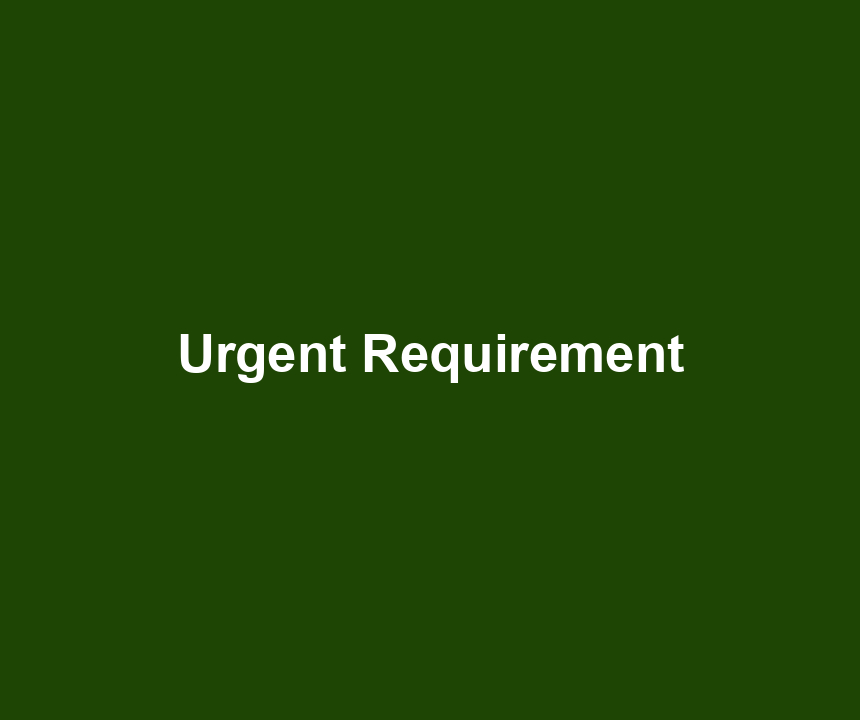 Urgent Requirement