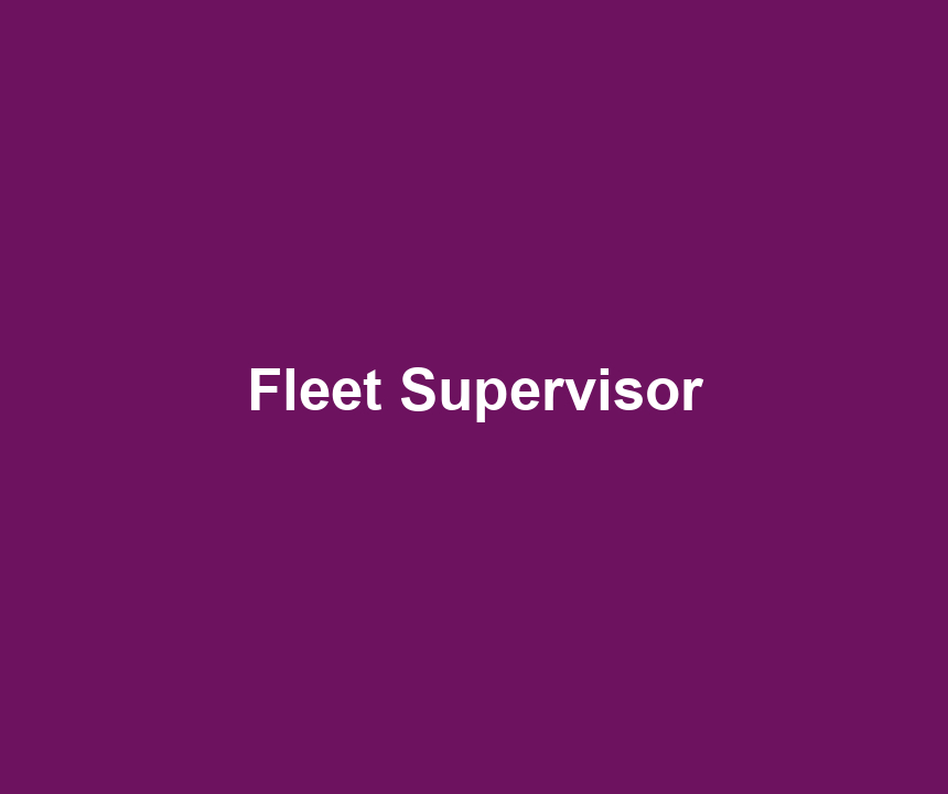 Fleet Supervisor