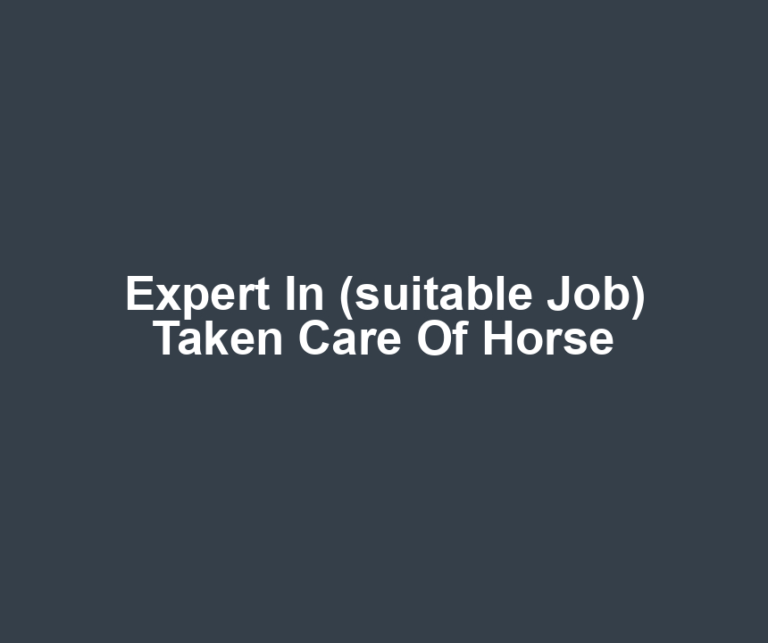 Expert In (suitable Job) Taken Care Of Horse